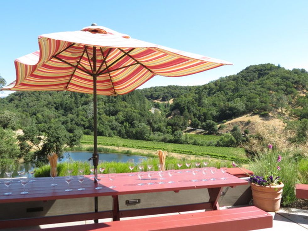 One Day of Sipping in Dry Creek Valley