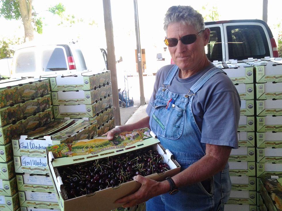 Where the Cherries Are: The Story of Frog Hollow Farms and Farmer Al