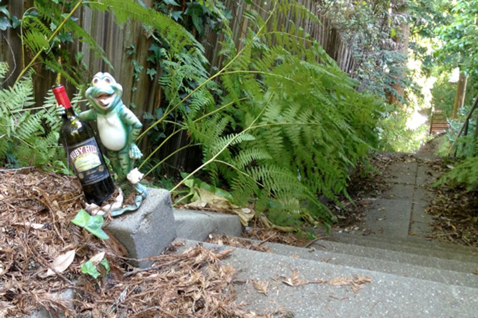 The Ultimate Sunday Hike Berkeley Hills Walking Paths 7x7 Bay Area