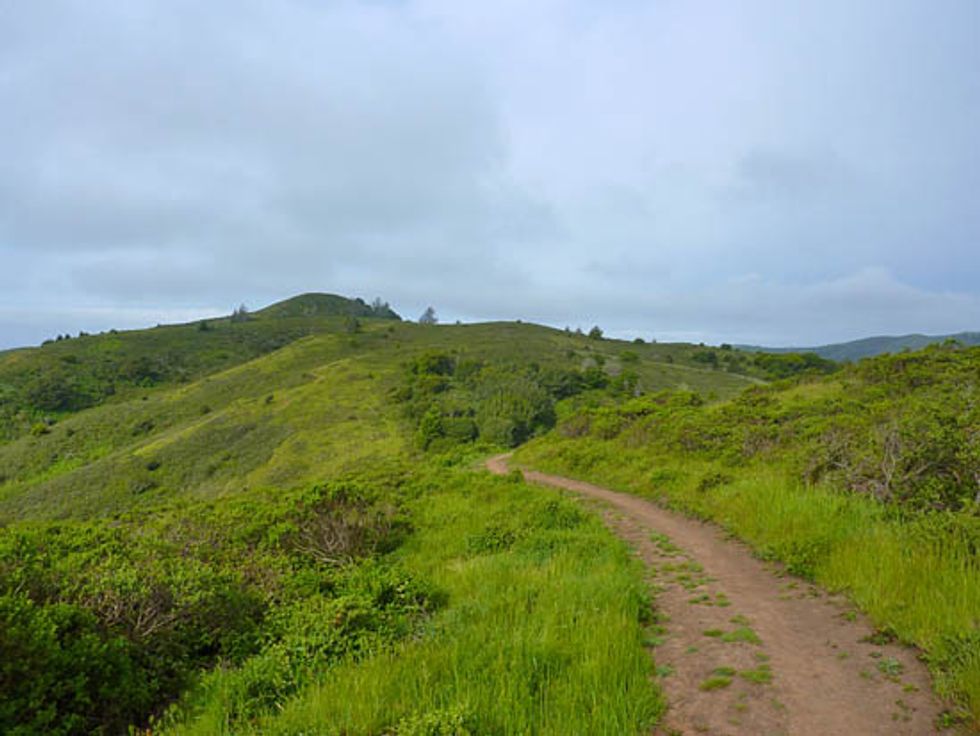 Three Reasons to Cross the Golden Gate Bridge