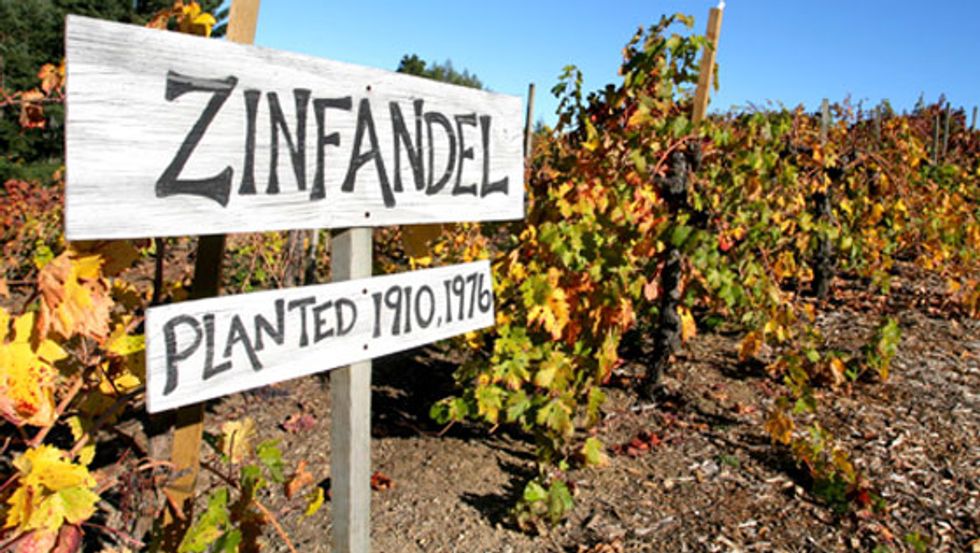 Are Zinfandel and Primitivo the Same Wine?