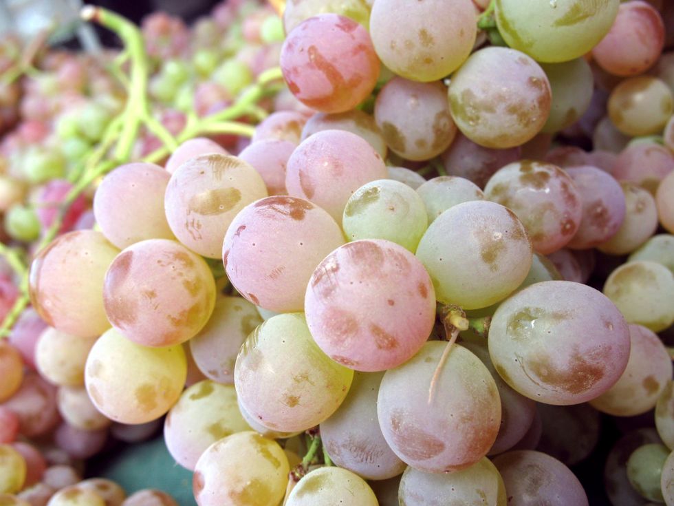 Market Watch: Five Things Not to Miss in August