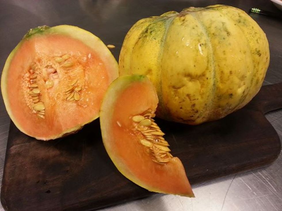 Make Way for Melon Season