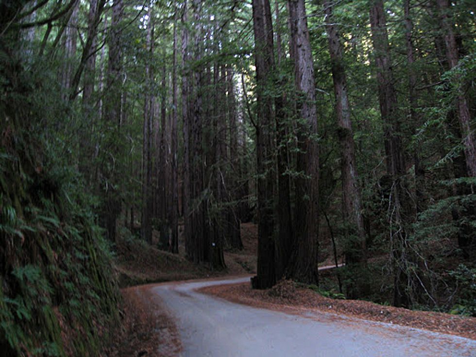 The Ultimate Sunday Bike Ride: Woodside to Pescadero