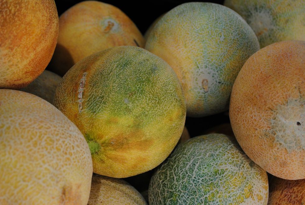 Market Watch: Haven's Kim Alter Heads Straight for the Melons