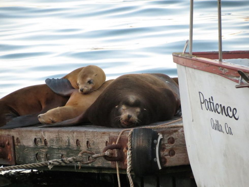 Go Beyond the Sun and Sand at Avila Beach