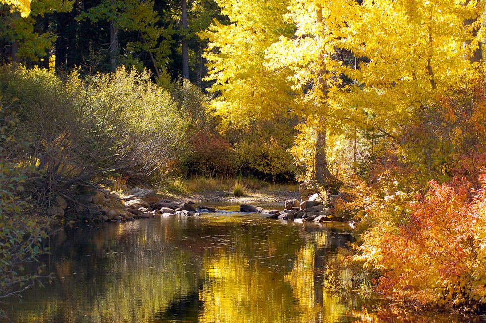 Three Reasons to Migrate to Tahoe This Fall