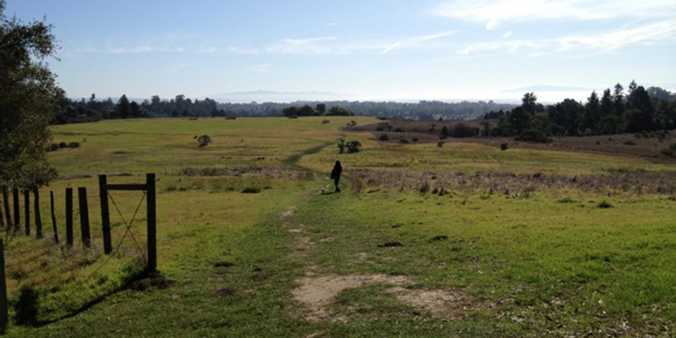 The Ultimate Sunday Hike: Pogonip Park Santa Cruz