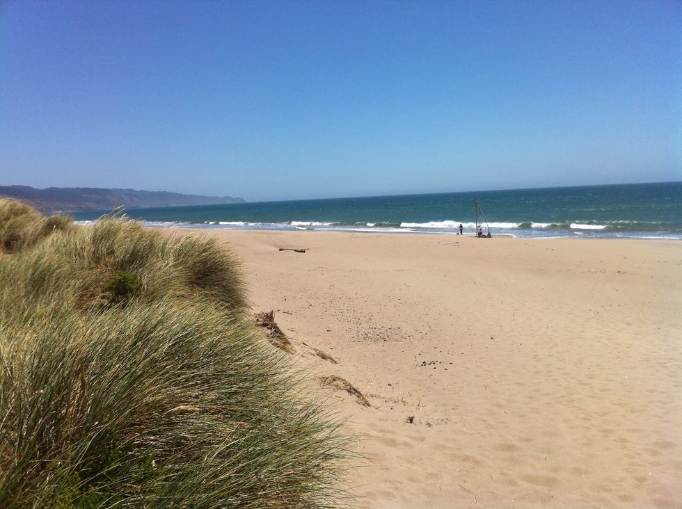 The Best Bay Area Beaches