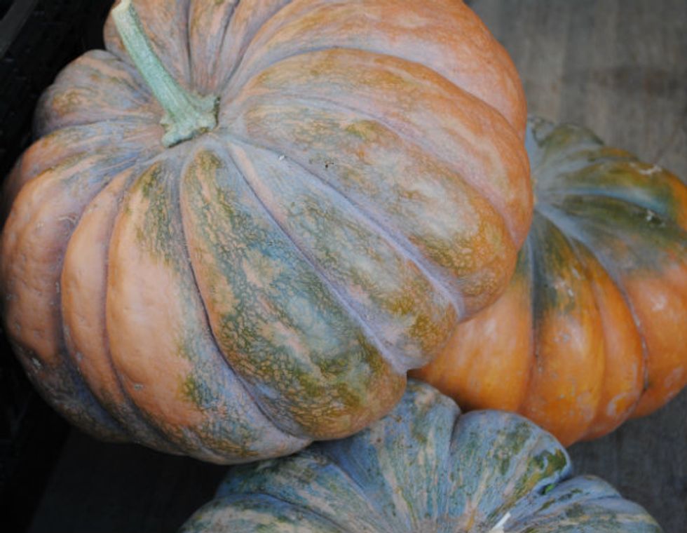 Market Watch: Five Items Not To Miss in October