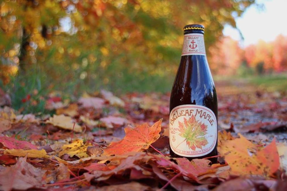 Five Local Craft Beers to Enjoy This Fall