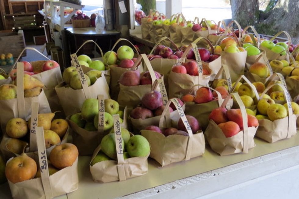 24 Hours in Boonville and Philo