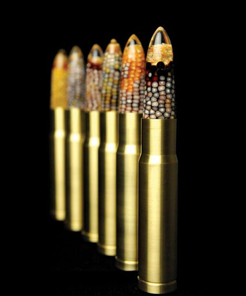 Kernal of Truth Portrays Corn as Art