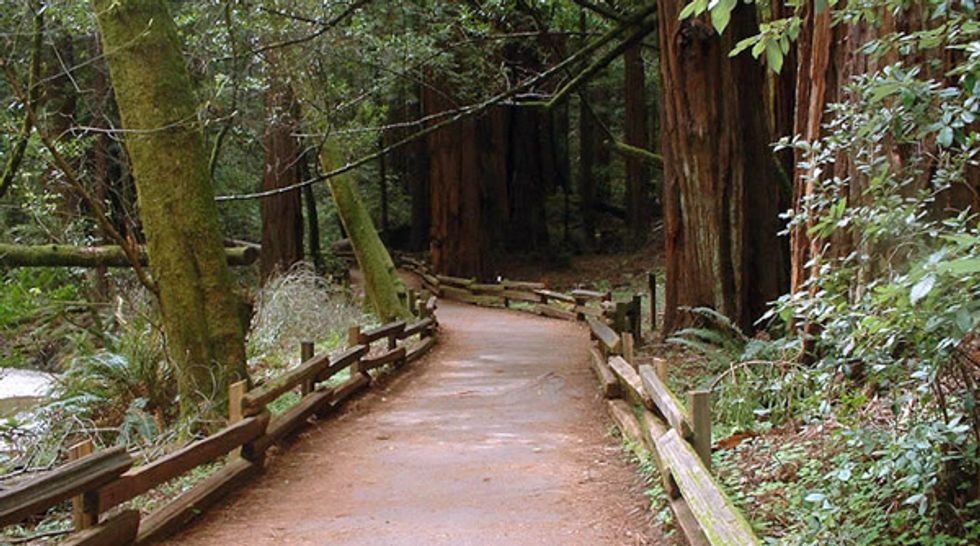 The Ultimate Sunday Hike: The Back Door into Muir Woods