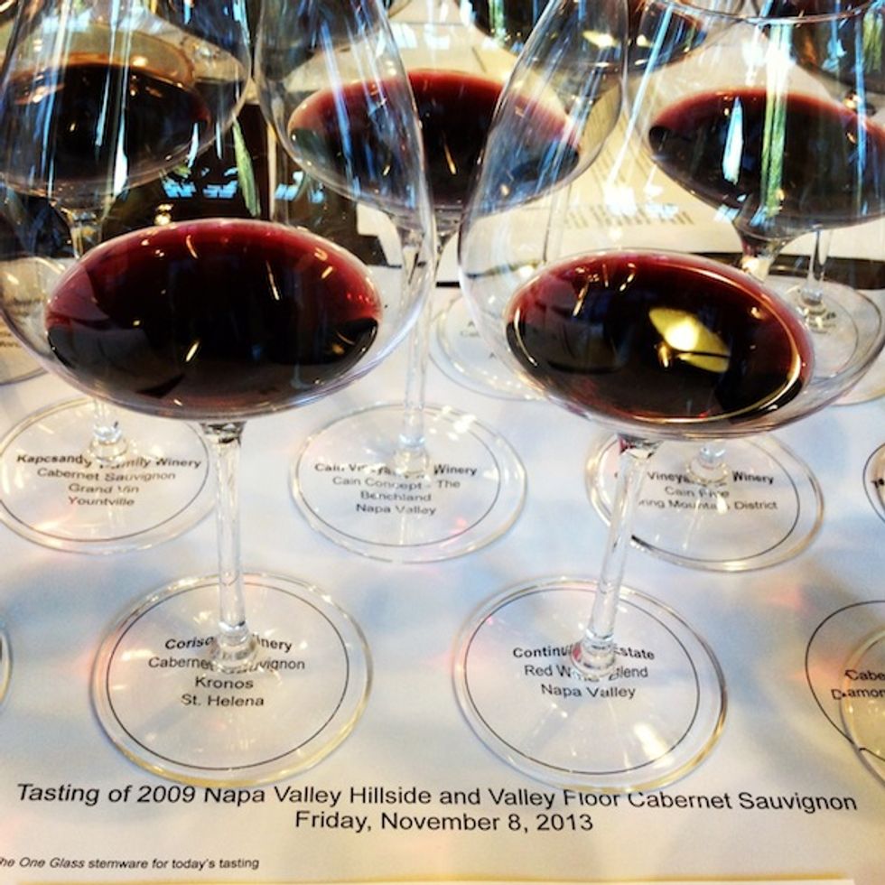 Valley Wines vs. Mountain Wines: Is There a Difference in Taste?