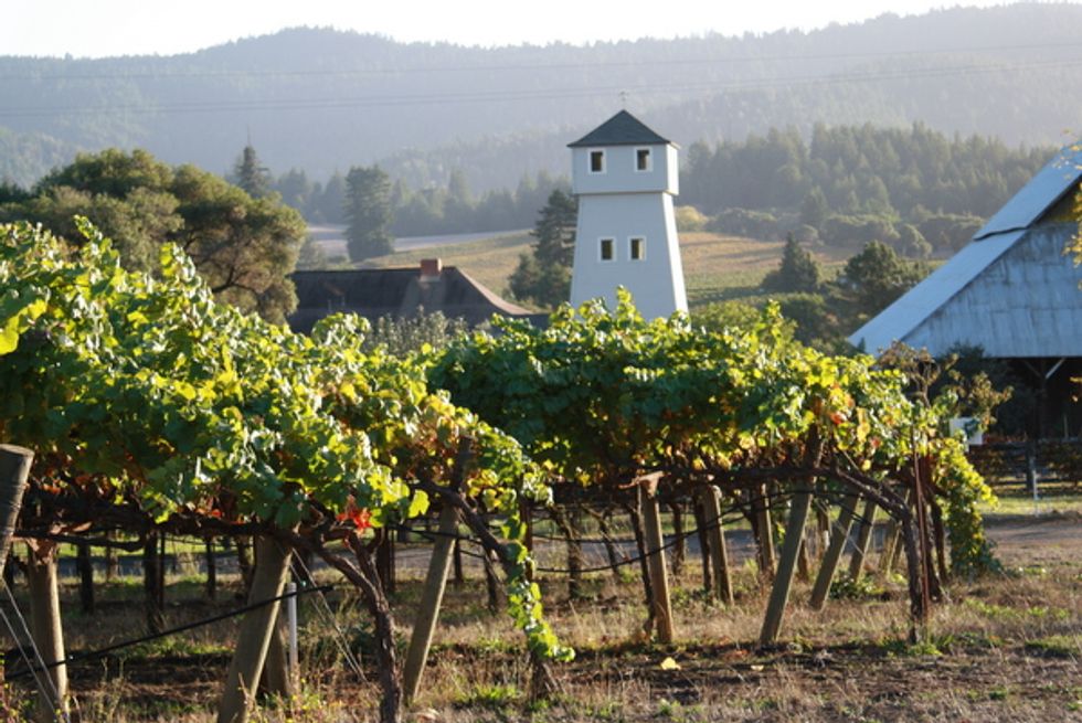 Gals Who Grow Grapes in Mendocino