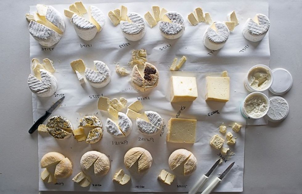 New Cowgirl Creamery Cookbook Doles Advice to Cheese Aficionados