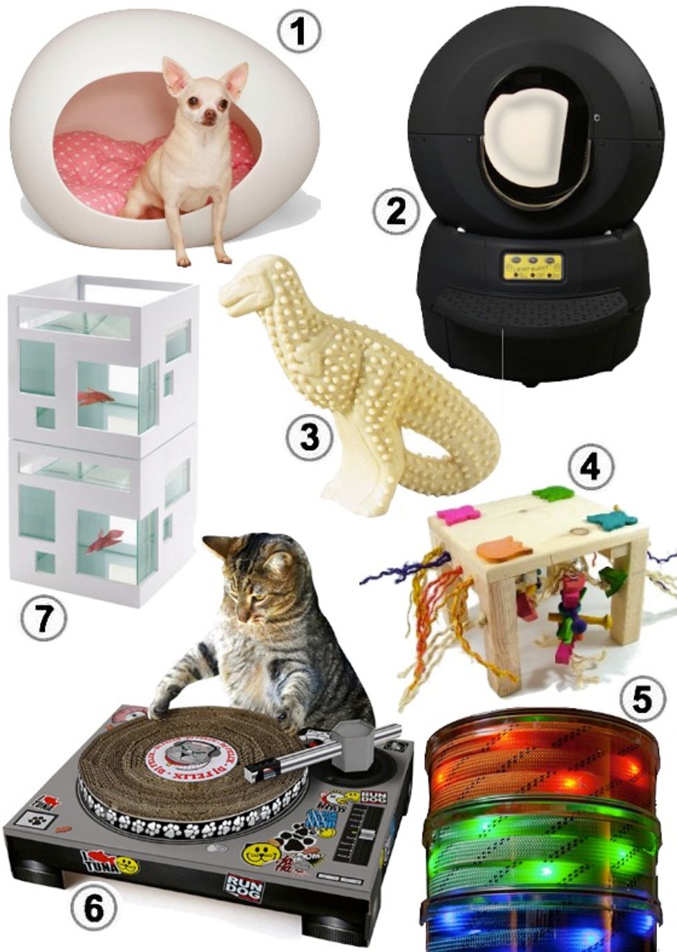 Look of the Week: Top Gifts for Bay Area Pets & Pet Lovers