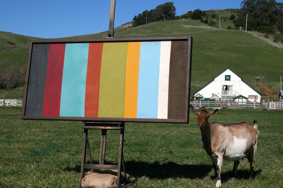 Artisan Cheese Biz Churns Out a New Kind of Paint