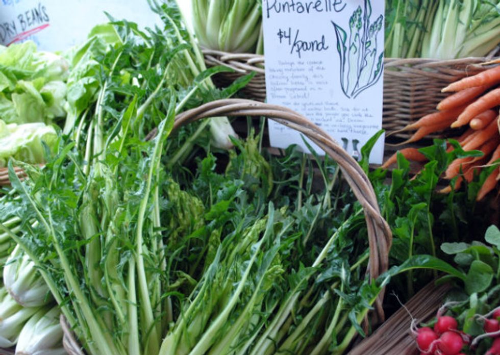 Market Watch: Chicories are the New Kale