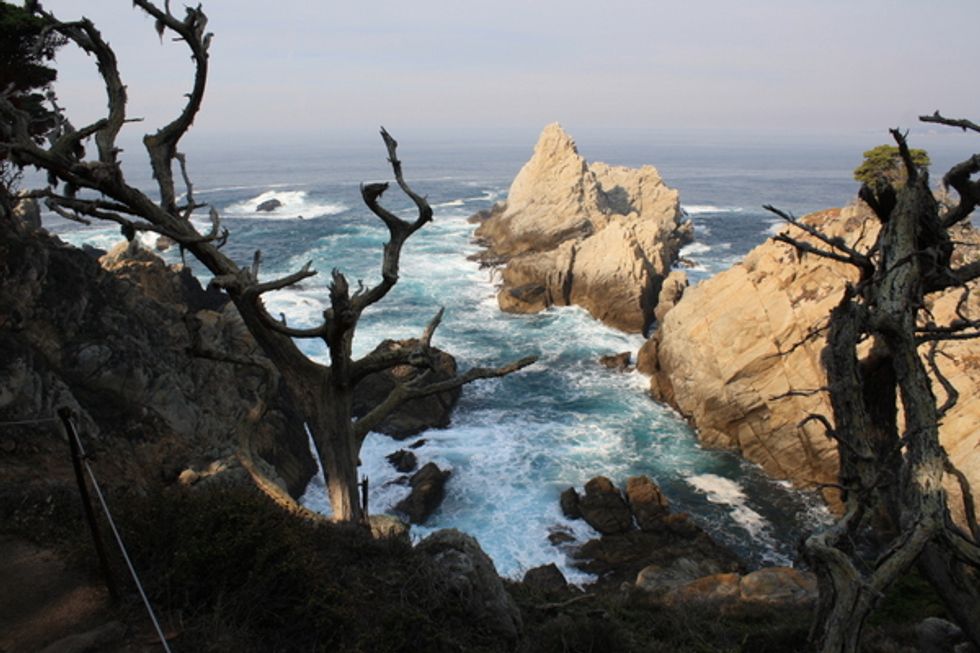 Weekend Adventure: Hike Carmel’s Point Lobos