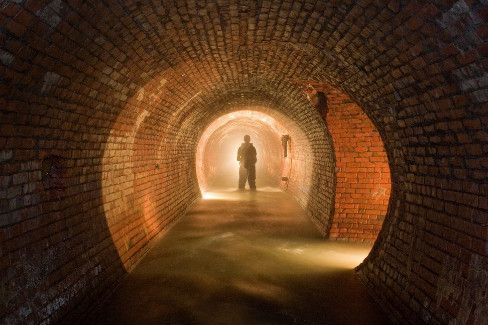 Hidden in Plain Sight: 7 Films to Watch this Week