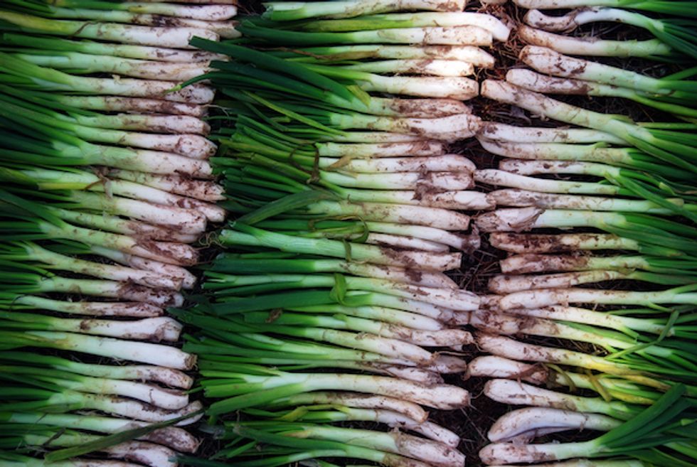 Market Watch: Calçot Onions Make Their Spring Debut