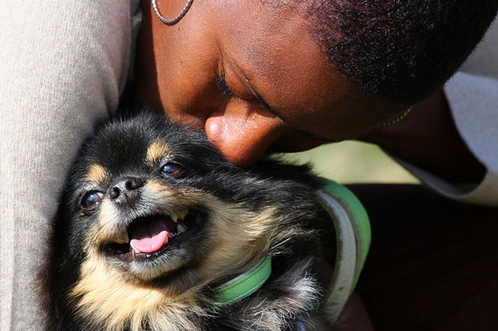 Ask a Vet: My Dog Has Separation Anxiety, Help!