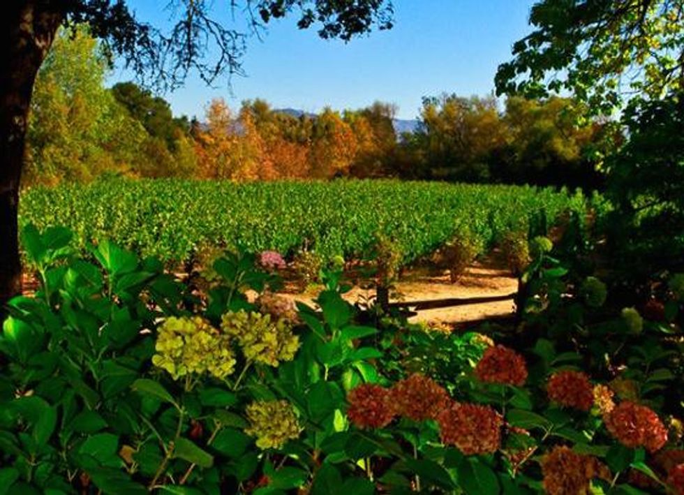 Napa’s Finest Wineries Off the Beaten Path