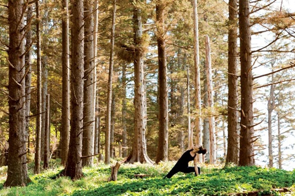 Outdoor Wellness Programs in Wine Country