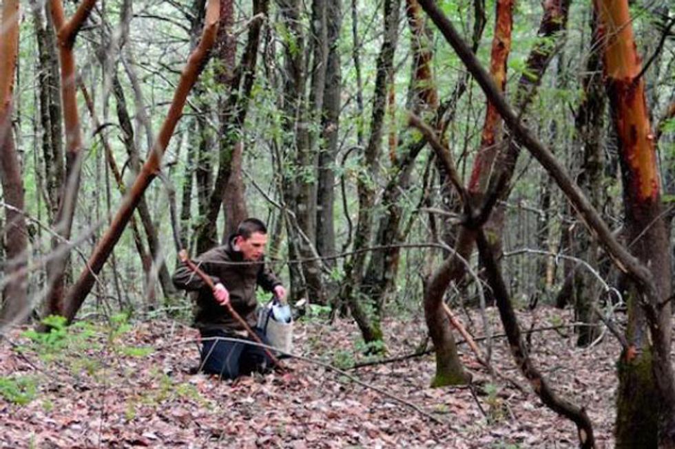 Meadowood's Dedicated Forager Talks Drought, Culinary Inspiration, and His Top Spots