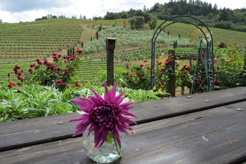 A Toast to Women Winemakers in Sonoma County