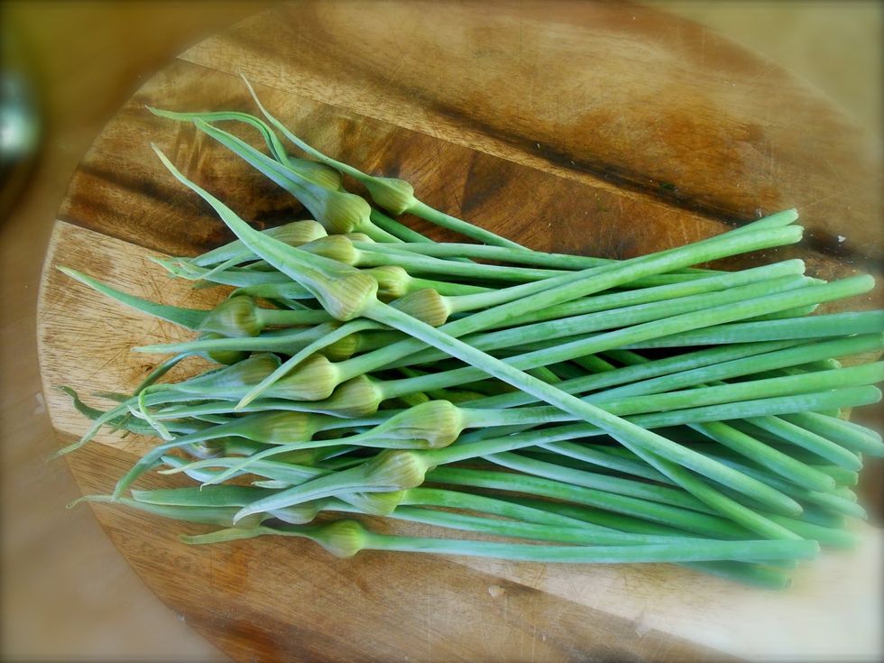 Garlic Scapes Make Their Farmers Market Debut