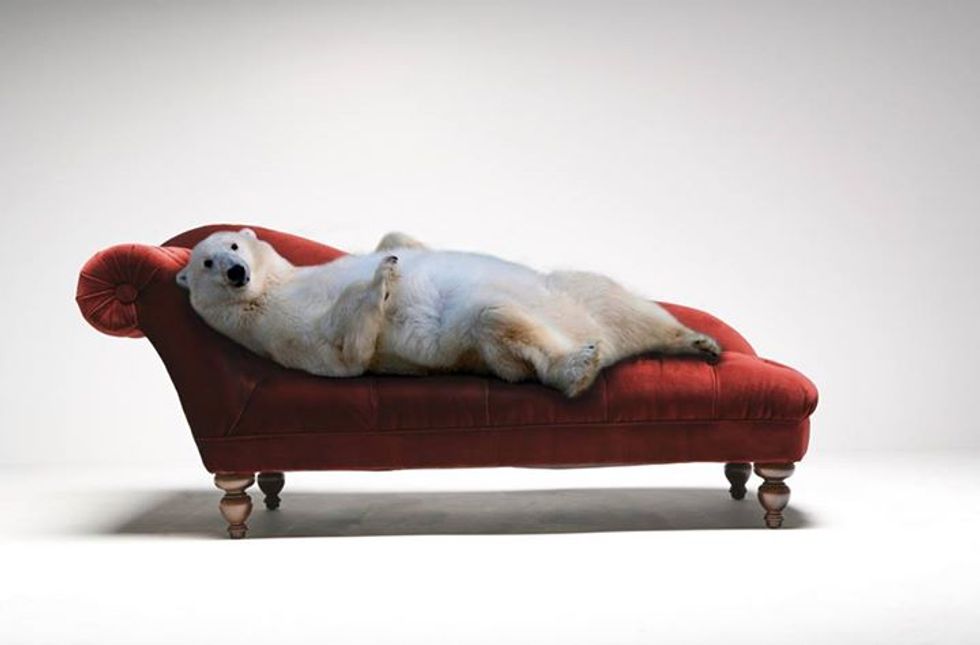 Local Author Laurel Braitman Talks Animal Insanity, Her New Book, and SF