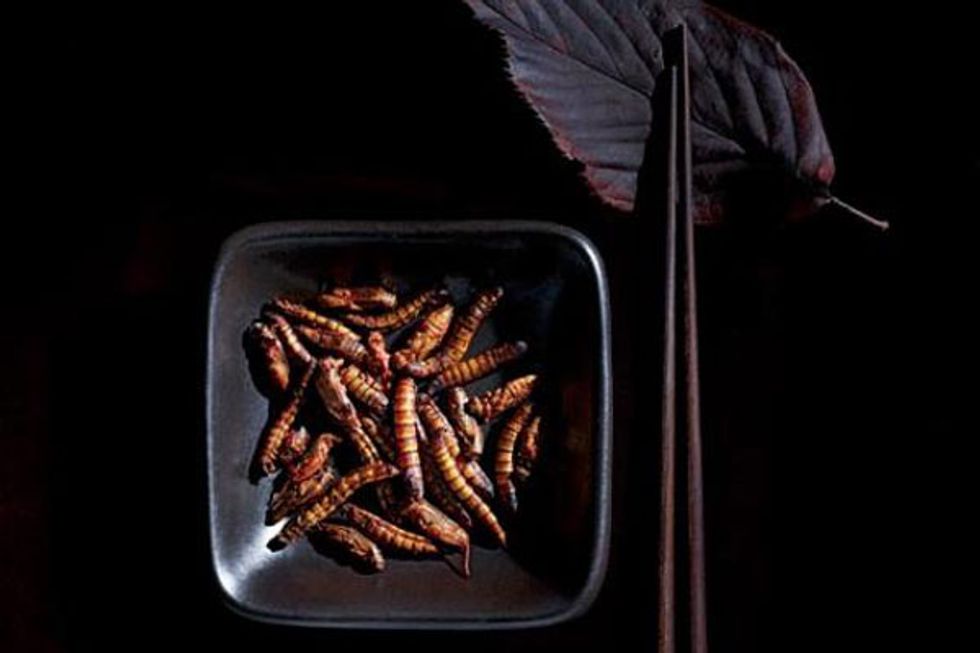 Bug Out: Clever Cooks Integrate Insects Into Their Cuisines