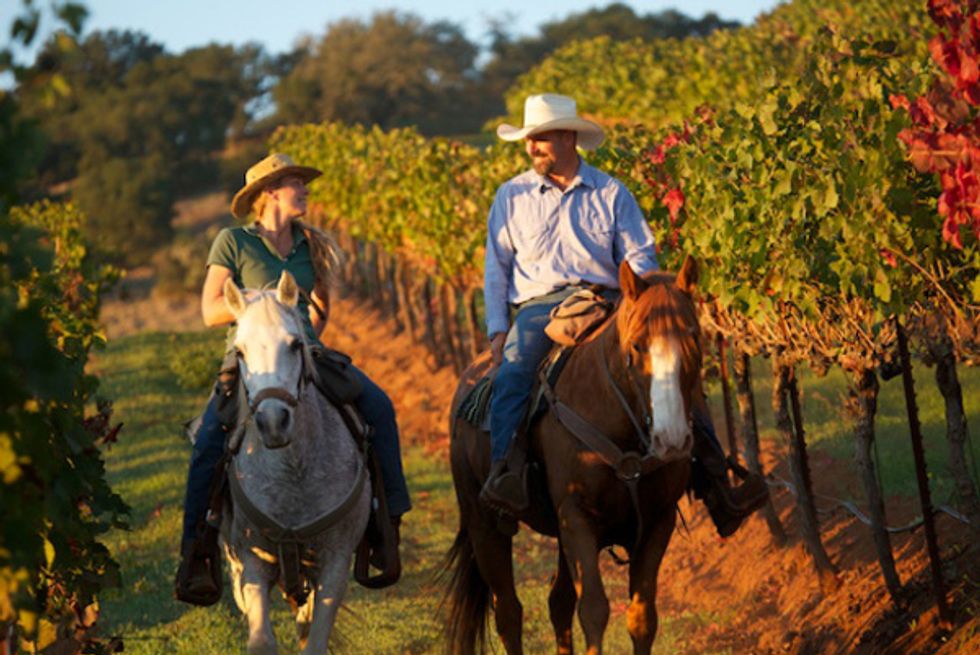 Best Places to See Wine Country on Horseback