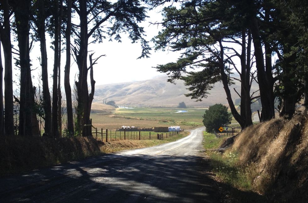 Explore Rural Sonoma and Marin Cycling Valley Ford Road
