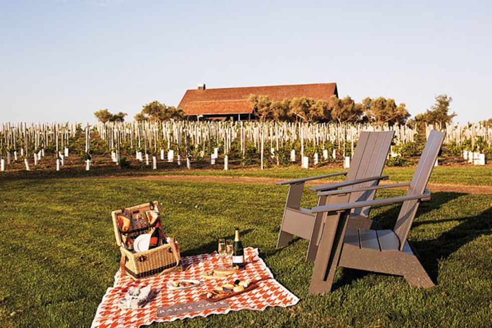 Wine Country's Top 7 Vineyard Picnics