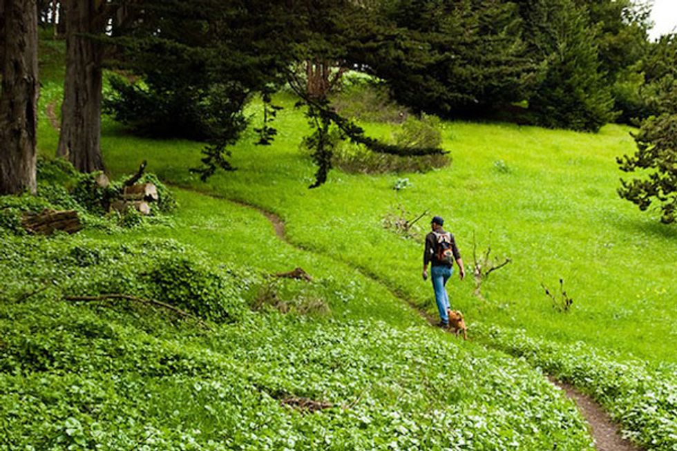 The 7 Best Parks In San Francisco, Ranked