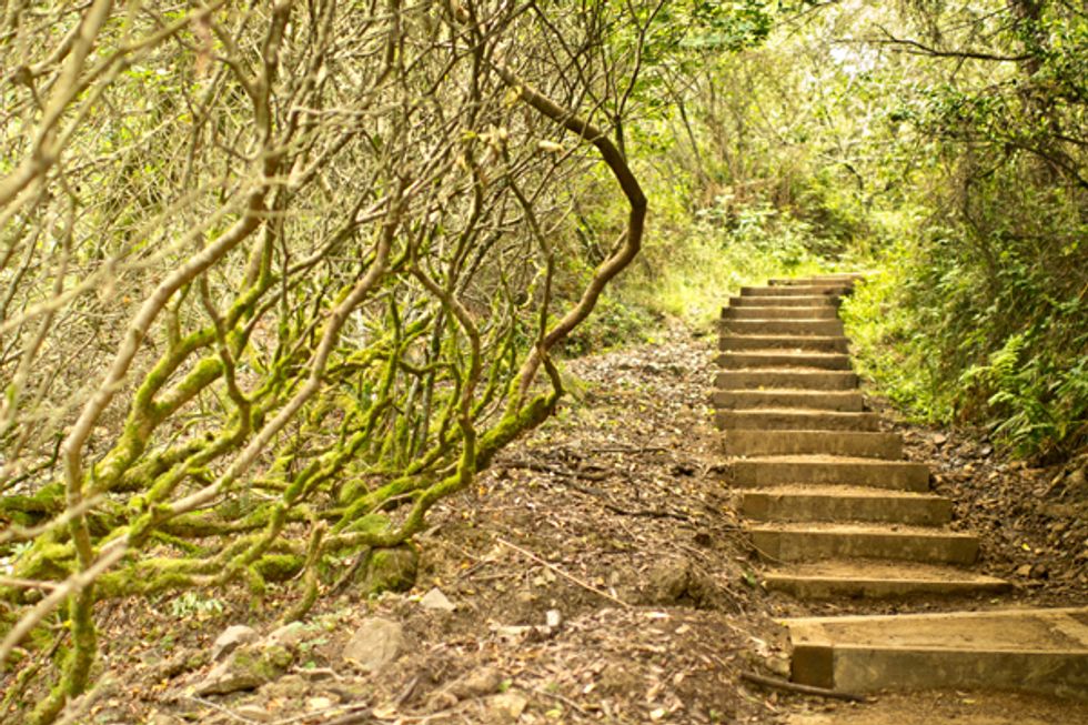 The Bay Area’s Top 5 Outdoor Workouts