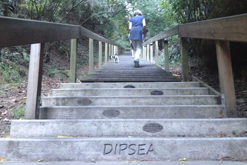 Weekend Hike: The Steps and Lanes of Mill Valley