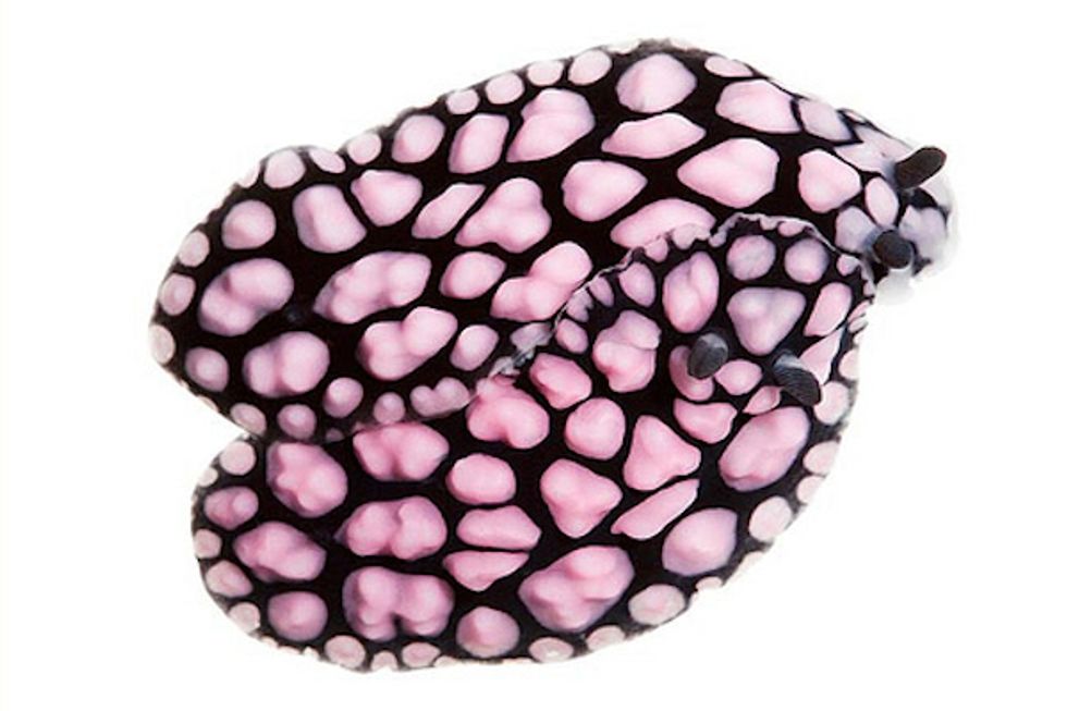 Editors' Picks: Burberry Cityscape Bag, Gilmore Girls, Vegas, & More