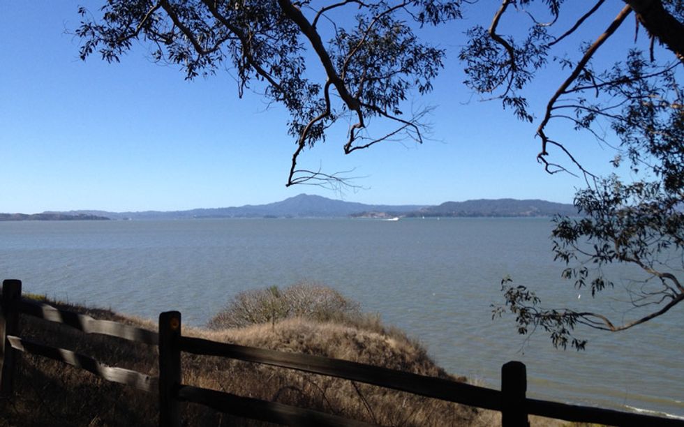 Take the Giant Highway for Non-Stop Views at Point Pinole Regional Shoreline