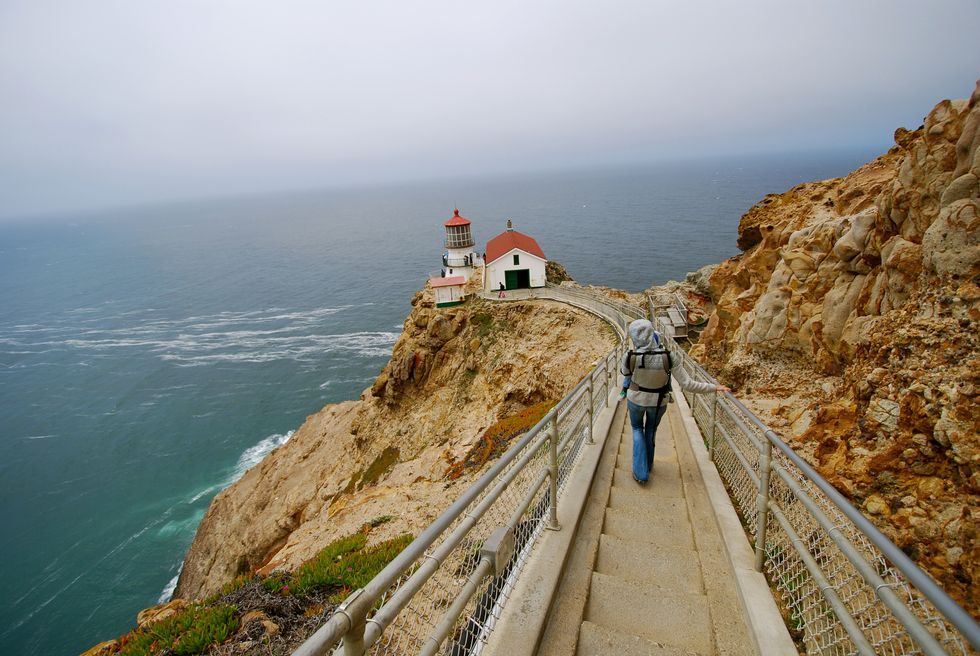 Road Trip Guide: Explore Point Reyes - 7x7 Bay Area