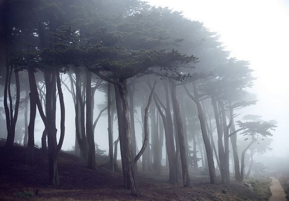 Go Coastal on a Lands End Hike