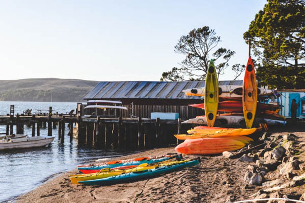 A Road Trip Guide to Bodega Bay