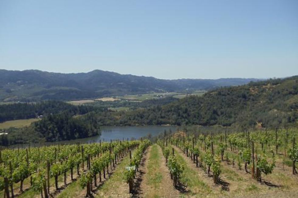Use Wine Country Navigator to Plan Your Next Day Trip