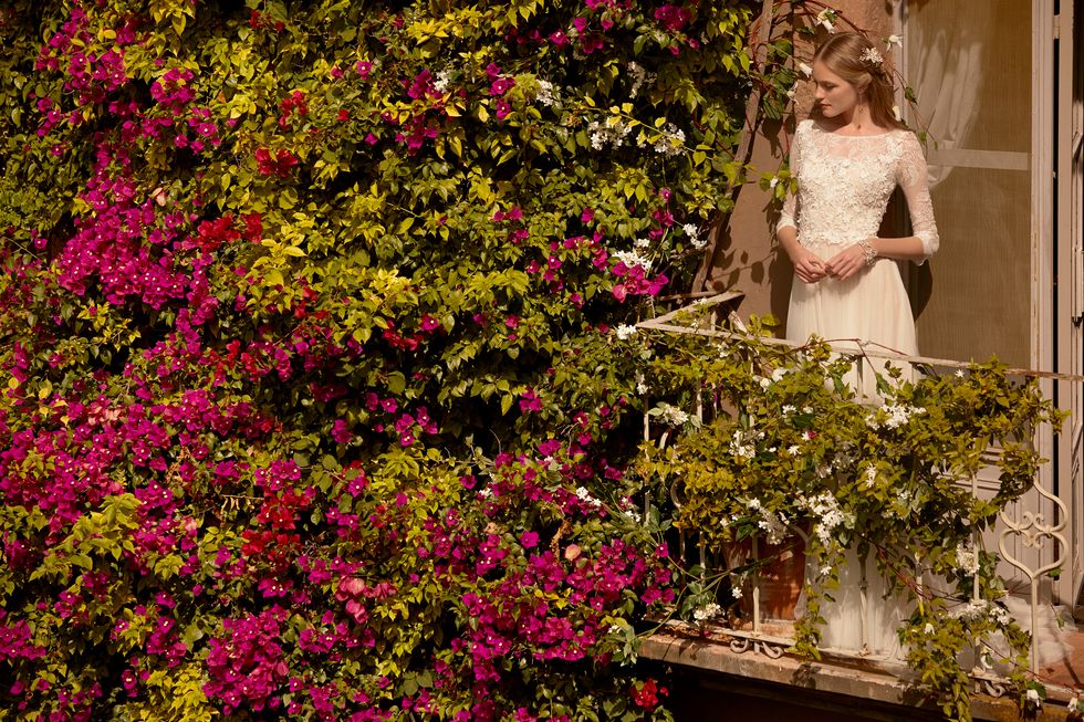 Bonobos Coming to San Jose, National Hat Day, and More