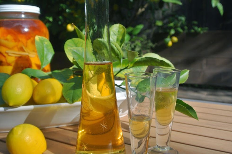 Seasonal Recipe: Meyer Lemon Limoncello