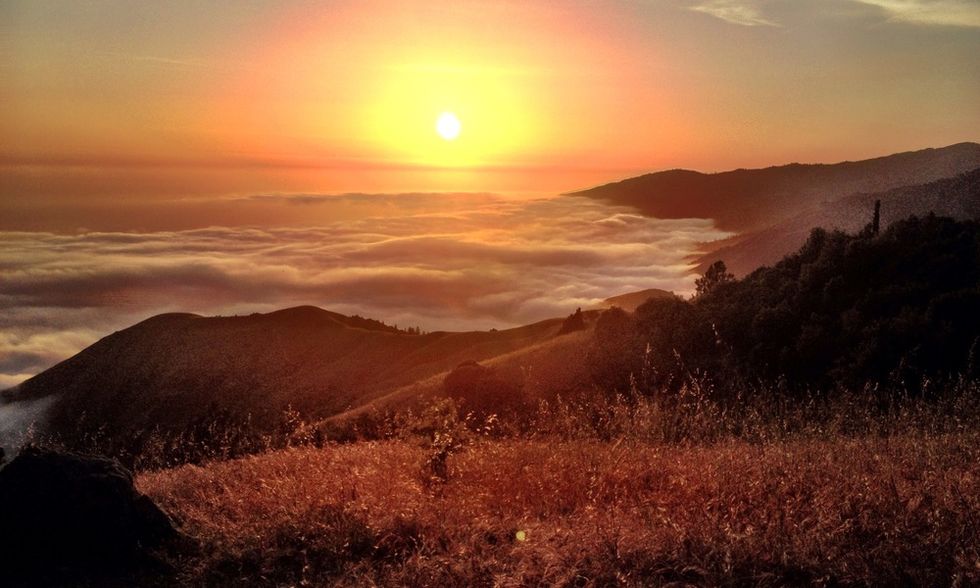 5 Scenic Spots to Get You Out of the City